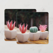 Cactussen (Voorkant / Achterkant)
