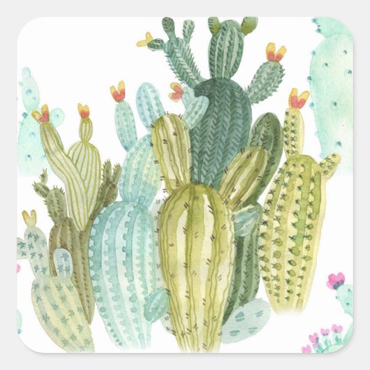  cactussen bloeiend Waterverf patroon Vierkante Sticker (Voorkant)