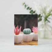 Cactussen Briefkaart (Staand voorkant)