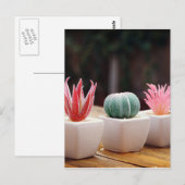 Cactussen Briefkaart (Voorkant / Achterkant)