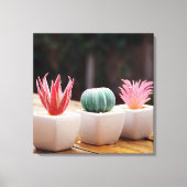 Cactussen Canvas Afdruk (Voorkant)
