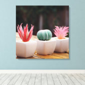 Cactussen Canvas Afdruk (Insitu (Houten vloer))