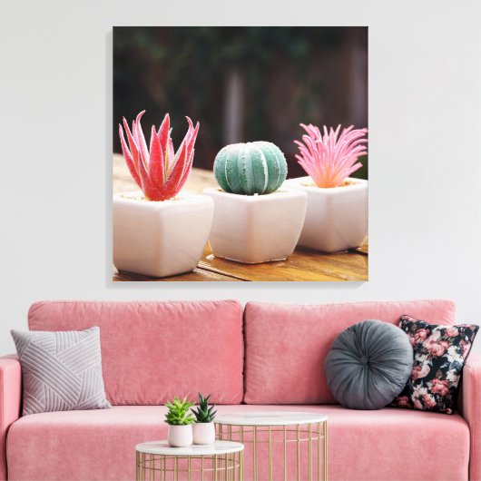 Cactussen Canvas Afdruk (Insitu (Woonkamer))