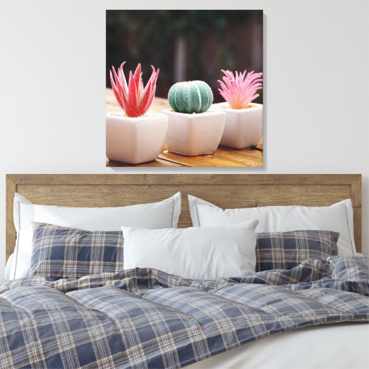 Cactussen Canvas Afdruk (Insitu (Slaapkamer))