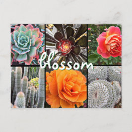 Cactussen en rozen fotografie collage bloesem quot briefkaart