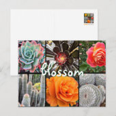 Cactussen en rozen fotografie collage bloesem quot briefkaart (Voorkant / Achterkant)