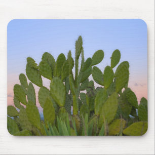 Cactussen en sisal in droge bossen muismat