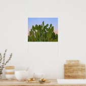 Cactussen en sisal in droge bossen poster (Keuken)