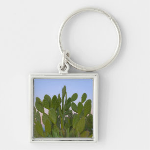 Cactussen en sisal in droge bossen sleutelhanger