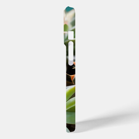 Cactussen en succulenten groepering Case-Mate iPhone case (Achterkant / Links)