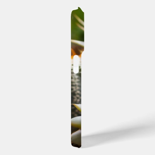 Cactussen en succulenten groepering Case-Mate iPhone case (Achterkant / Rechts)