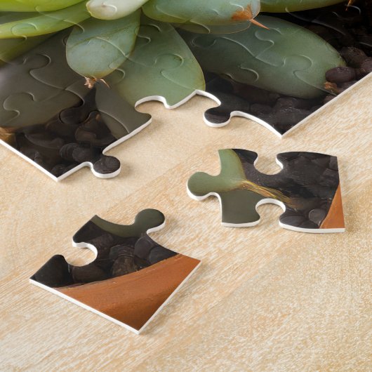 Cactussen en succulenten groepering legpuzzel (Zijkant)