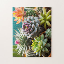 Cactussen en succulenten groepering legpuzzel