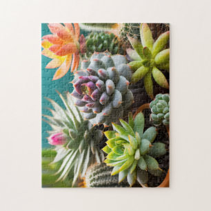 Cactussen en succulenten groepering legpuzzel