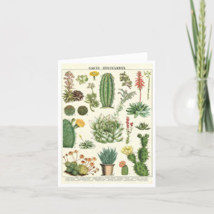Cactussen en vetplanten Botanische Note Kaart