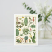  cactussen en vetplanten Botanische tekening Briefkaart (Staand voorkant)