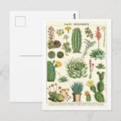  cactussen en vetplanten Botanische tekening Briefkaart (Voorkant / Achterkant)