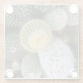 Cactussen glazen Onderzetters (Achterkant)