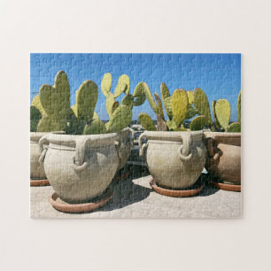Cactussen in keramische potten in Puglia, Italië Legpuzzel