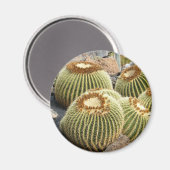 Cactussen magneet (Voorkant / Achterkant)
