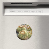 Cactussen magneet (Insitu (Vaatwasser))