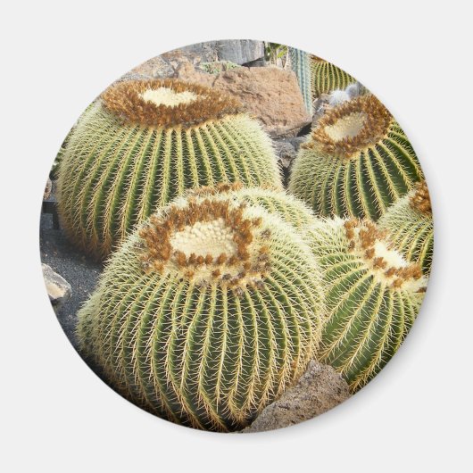 Cactussen magneet (Voorkant)