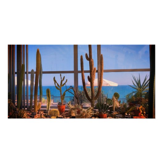 Cactussen planten en zee perfect poster (Voorkant)