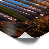 Cactussen planten en zee perfect poster (Hoek)