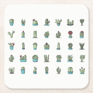Cactussen Succulenten Planten Hand Getekende Botan Kartonnen Onderzetters