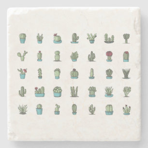 Cactussen Succulenten Planten Handgetekend Botanis Stenen Onderzetter