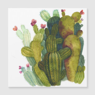 Cactussen, succulenten: vintage aquarel.