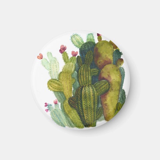 Cactussen, succulenten: vintage aquarel. magneet (Voorkant)