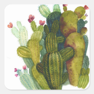Cactussen, succulenten: vintage aquarel. vierkante sticker