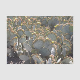 Cactussen tissuepapier