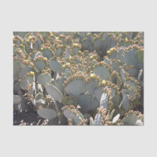 Cactussen tissuepapier