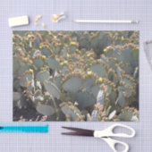 Cactussen tissuepapier (Craft)