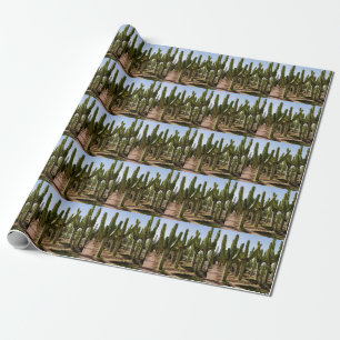 Cactussen tuin, tropisch woestijnlandschap. cadeaupapier
