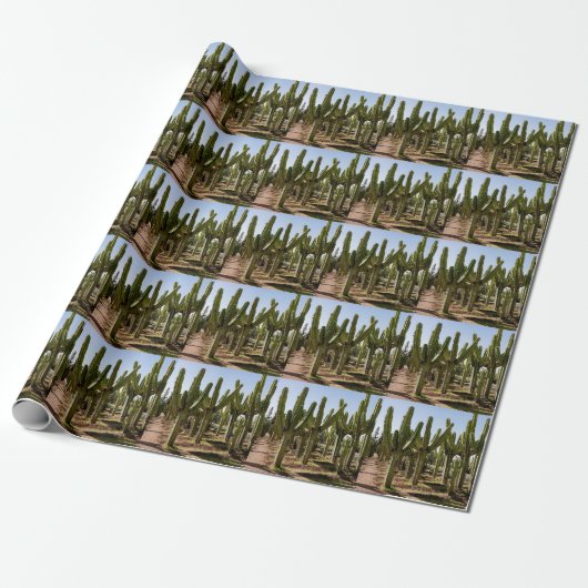 Cactussen tuin, tropisch woestijnlandschap. cadeaupapier (Uitgerold)