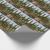 Cactussen tuin, tropisch woestijnlandschap. cadeaupapier (Hoek)