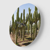 Cactussen tuin, tropisch woestijnlandschap. grote klok (Hoek)