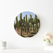 Cactussen tuin, tropisch woestijnlandschap. grote klok (Huis)