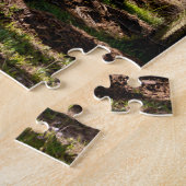 Cactussen tuin, tropisch woestijnlandschap. legpuzzel (Zijkant)