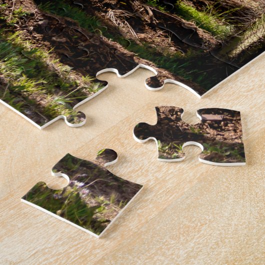 Cactussen tuin, tropisch woestijnlandschap. legpuzzel (Zijkant)