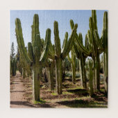 Cactussen tuin, tropisch woestijnlandschap. legpuzzel (Verticaal)
