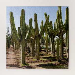 Cactussen tuin, tropisch woestijnlandschap. legpuzzel