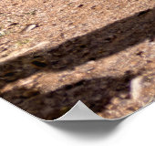 Cactussen tuin, tropisch woestijnlandschap. poster (Hoek)