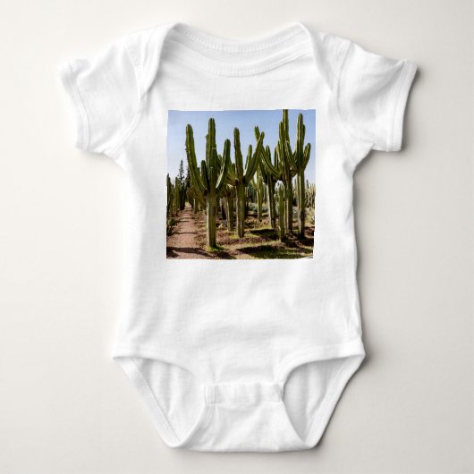 Cactussen tuin, tropisch woestijnlandschap. romper (Voorkant)