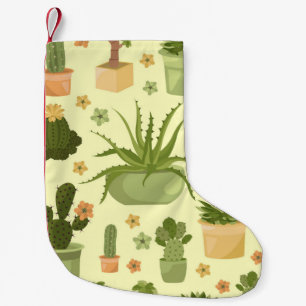 Cactussen, vetplanten:  kamerplanten. kleine kerstsok