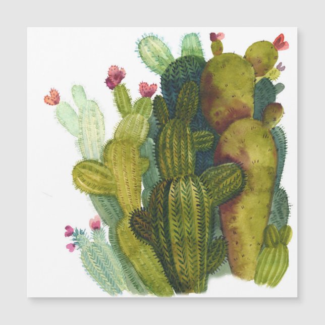 Cactussen, vetplanten:  waterverf. (Voorkant)