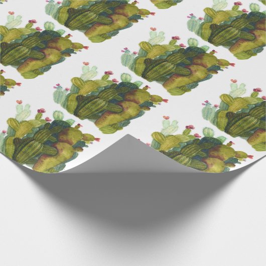 Cactussen, vetplanten: waterverf. cadeaupapier (Hoek)